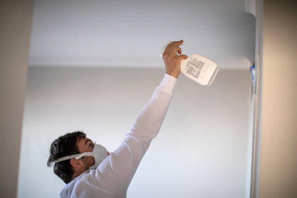 Best Local Mold Removal Service  in Kalida, OH