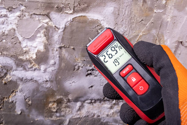 Kalida, OH Mold Removal Company