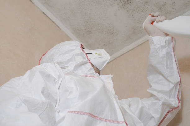 Best Crawl Space Mold Removal  in Kalida, OH